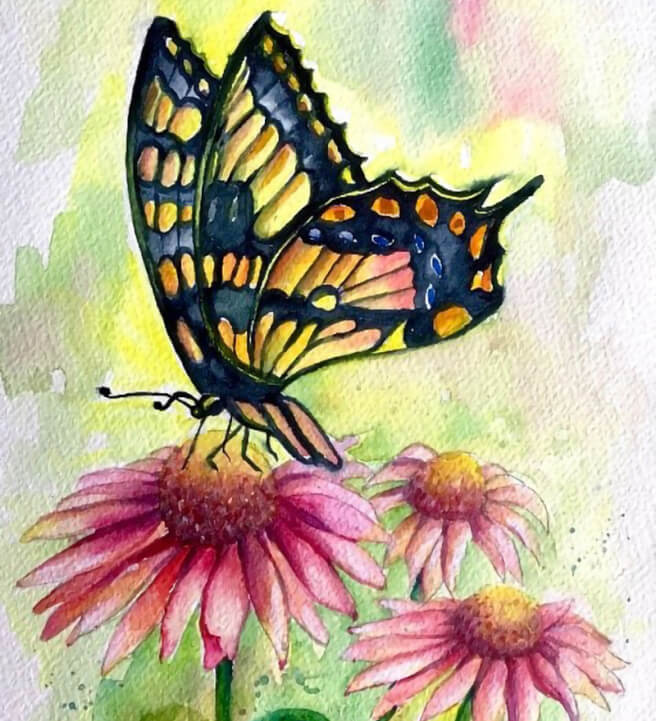 Butterfly and Echinacea Watercolour Painting Class