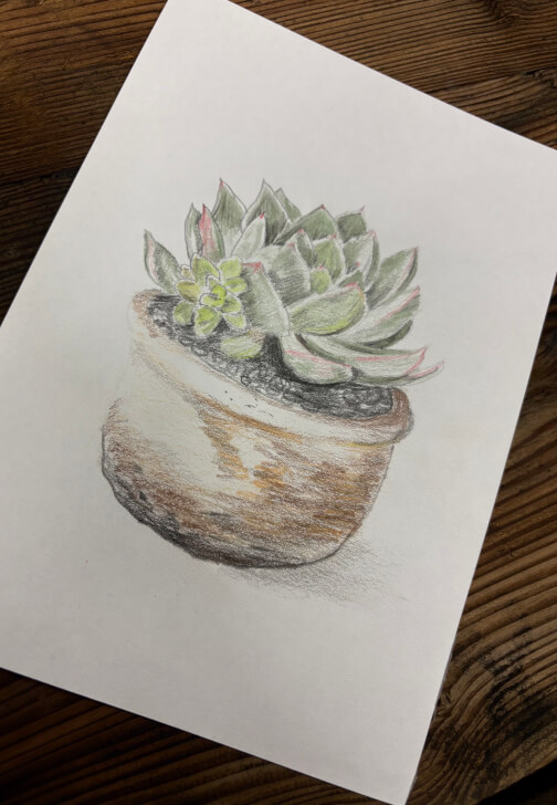 Cacti and Succulent Drawing Workshop