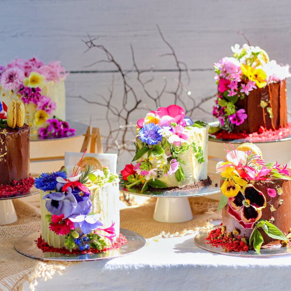 Cake Decorating Classes - Sunshine Coast, Noosa, Brisbane & Australia