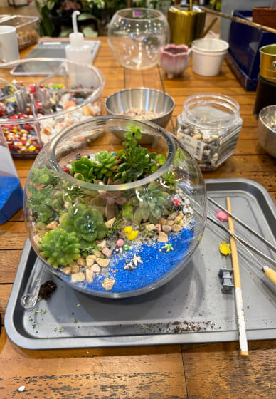 Celebrate Mother's Day with a Terrarium Workshop and Cookie Box