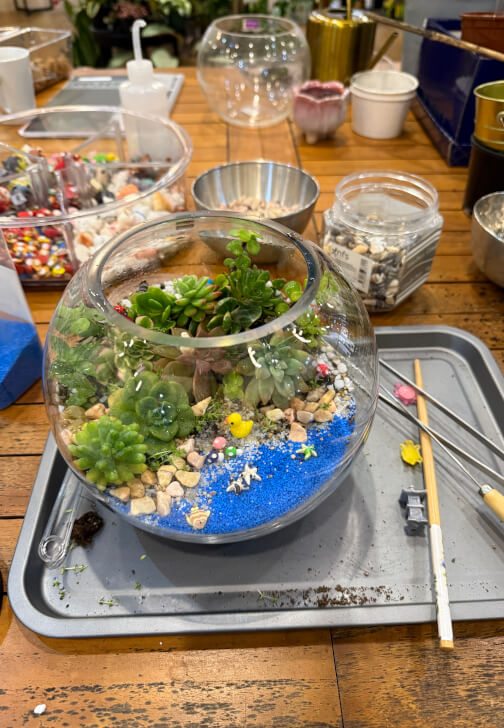 Celebrate Mother's Day with a Terrarium Workshop and Cookie Box