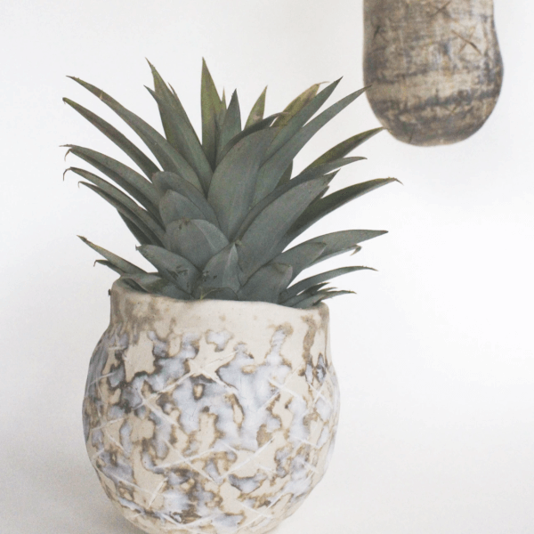 Ceramic Plant Pot Brisbane Gifts ClassBento