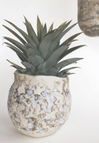 Ceramic Plant Pot Workshop