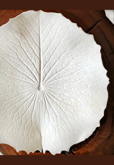 Ceramic Workshop: Make a Luscious Leaf Platter