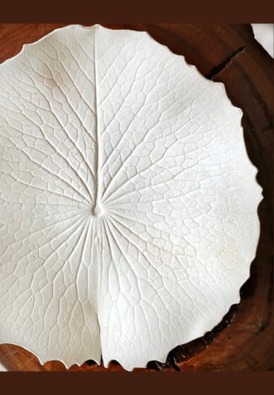 Ceramic Workshop: Make a Luscious Leaf Platter