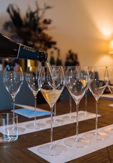 Champagne Tasting Experience
