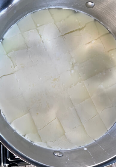 Cheese Making Workshop