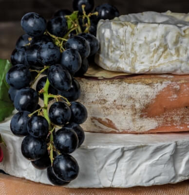 Cheesemaking Masterclass: Brie and Fetta