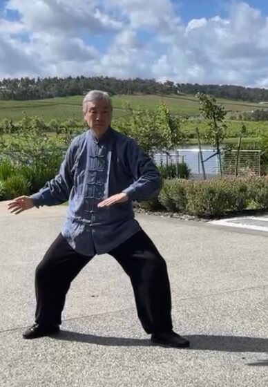 Chen Style Taijiquan Fundamentals Class