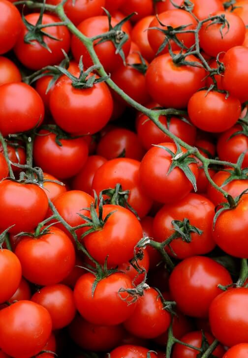 Cherry Tomato Chutney Workshop