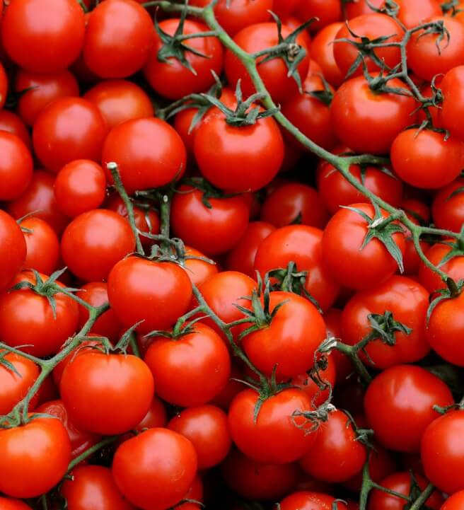 Cherry Tomato Chutney Workshop