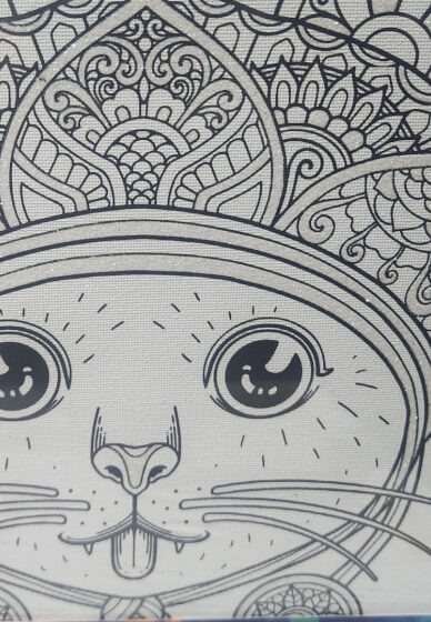 Childrens Paint Your Own Canvas Class