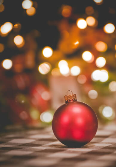 Christmas Artisan Soap Making Workshop