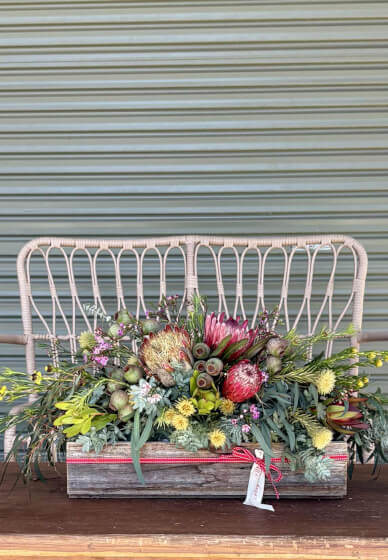 Australian Native Blooms Christmas Table Styling Workshop