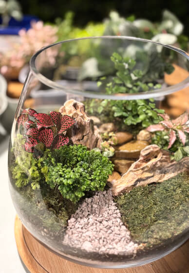 Closed Terrarium Making Workshop