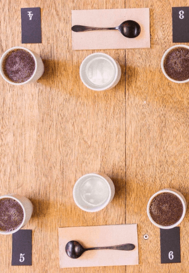 Coffee Cupping Tasting Experience
