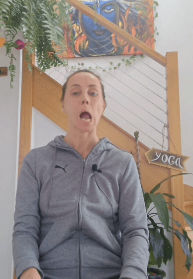 Course - 27 Video. Senior and NDIS Rehabilitation and Yoga System