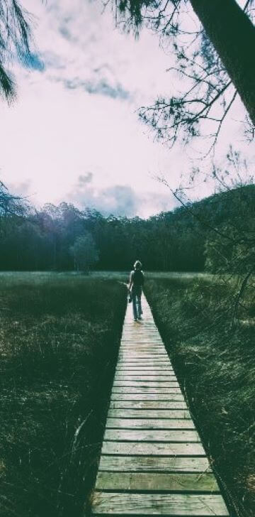 Creativity and Nature Apprecation Workshop