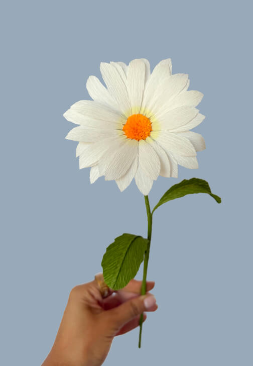 Crepe Paper Daisy Making Workshop