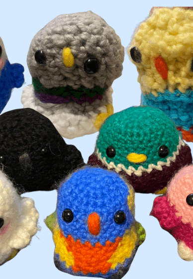 Crochet Birds Workshop
