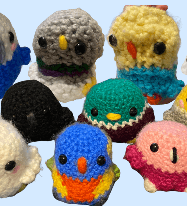 Crochet Birds Workshop