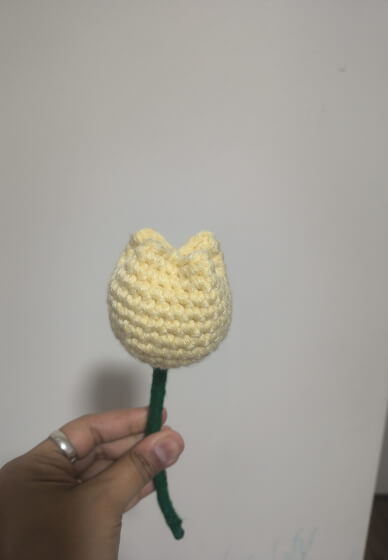 Crochet Tulip – Beginner-Friendly Flower Workshop