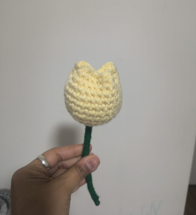 Crochet Tulip – Beginner-Friendly Flower Workshop