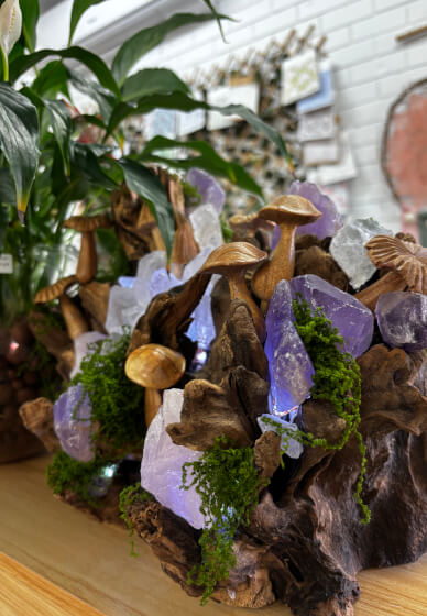 Crystal Driftwood Lamp Workshop