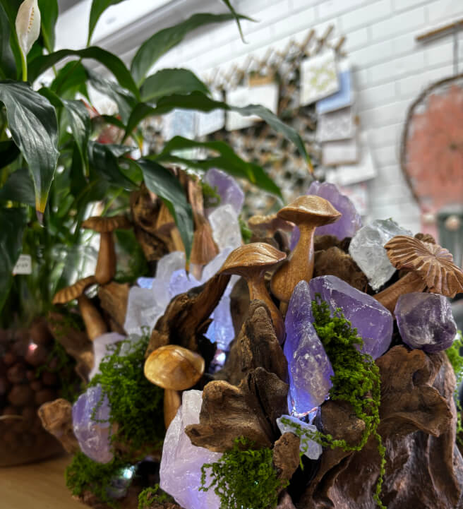 Crystal Driftwood Lamp Workshop