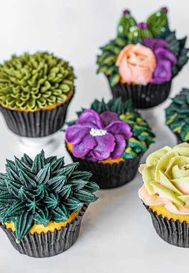 Cupcake Decorating Class: Buttercream Succulents