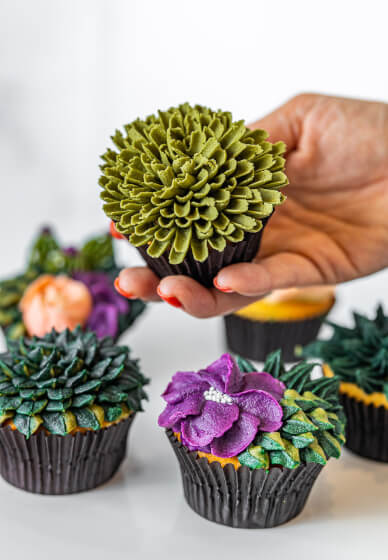 Cupcake Decorating Class: Buttercream Succulents