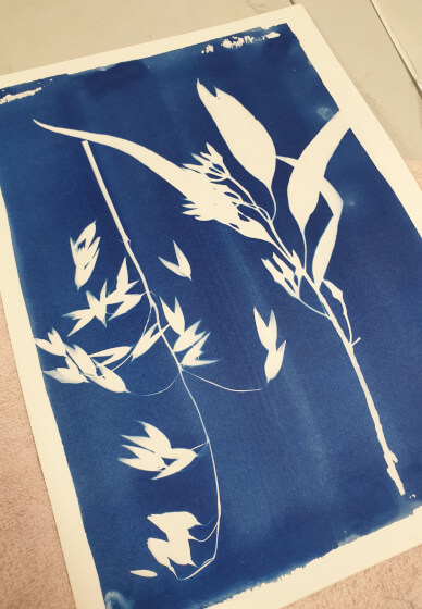 Cyanotype Printing Workshop