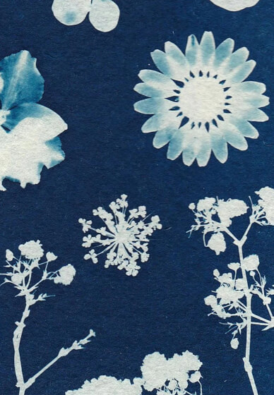 Cyanotype Printing Workshop