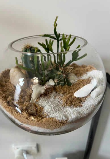 Desert-Scape Terrarium Cactus Workshop