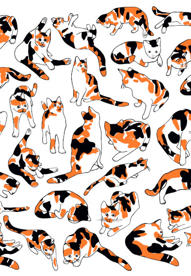 Design Your Own Repeat Textile Print Workshop