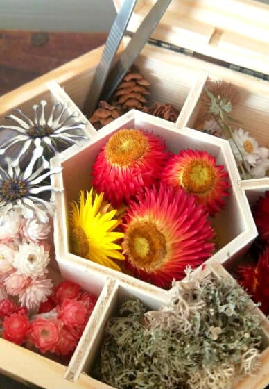 DIY Botanical Craft Supply Box