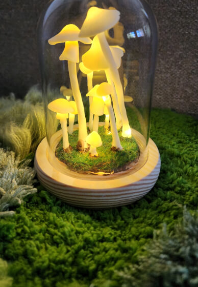 DIY Fairy Garden Mushroom Lamp Craft Kit