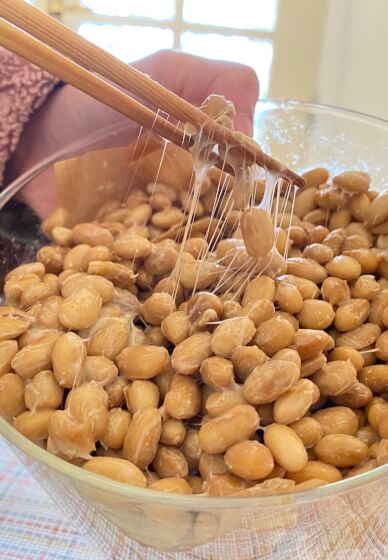 DIY Fermented Food Kit: Ferment Your Own Natto
