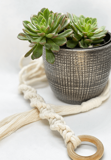 DIY Macrame Plant Hanger Craft Box / Kit in a Can