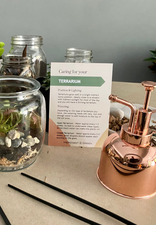 DIY Mini Sustainable Terrarium