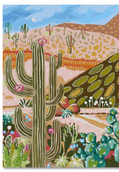 DIY Paint by Numbers Craft Kit: Cactus Valley