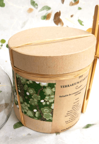 DIY Terrarium Starter Kit - 15cm