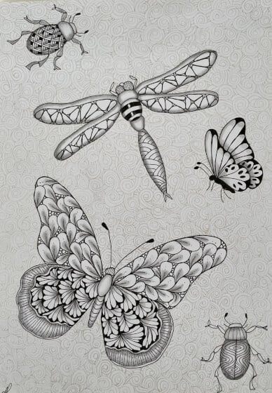 Draw Zentangle Art: Butterflies and Bugs