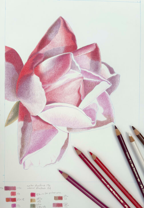 Drawing a Rose in Coloured Pencils Class