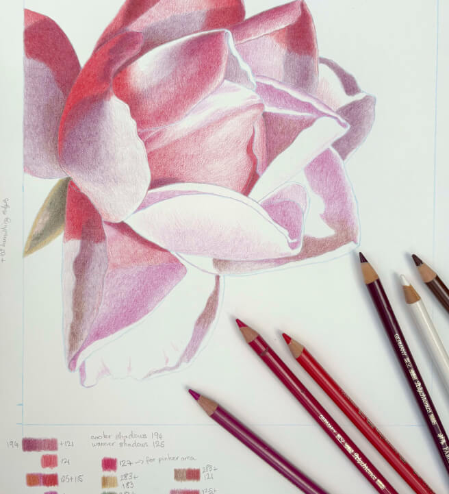 Drawing a Rose in Coloured Pencils Class