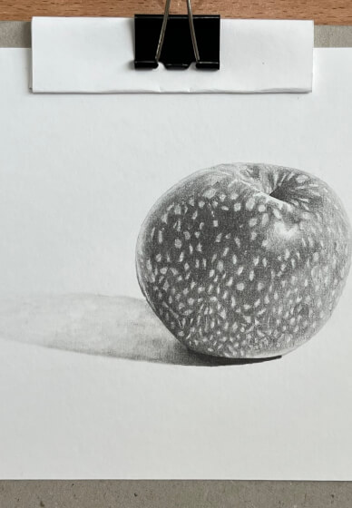 Drawing Class: Fruit in Graphite
