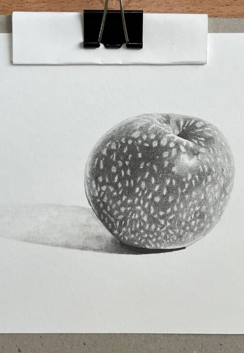 Drawing Class: Fruit in Graphite