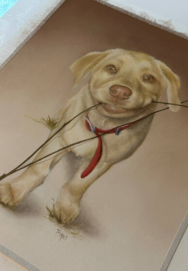 Drawing Class with Professional Artists Experience