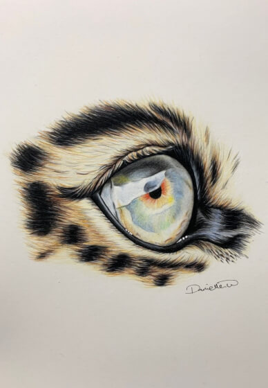 Drawing Workshop: Leopard Eye