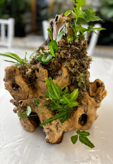 Driftwood Art Workshop